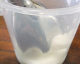 簡単ヘルシー！砂糖不使用甘酒アイス作り方3写真