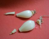 昔ながらのらっきょう漬け作り方5写真