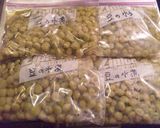 基本の“き”　青えんどう豆の水煮作り方6写真