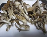 フライパンで豚肉きゅうりもやしの蒸し鍋作り方3写真