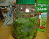 梅酒作り方7写真