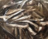 釣魚料理！鰯の自家製オイルサーディン作り方2写真