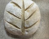 自家製酵母ライ麦パン　ストレート法作り方4写真