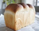 自家製酵母　元種作り作り方11写真