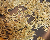 じゃがいもと筍の煮物にのっけてちりめん♪作り方1写真
