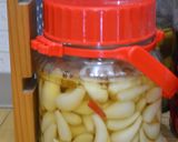 昔ながらのらっきょう漬け作り方23写真