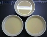 豆乳入り！クリーミーな洋風茶碗蒸し作り方4写真