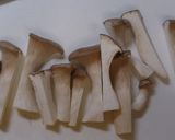 エリンギの肉巻作り方1写真