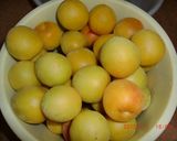 ＊梅干し・南高梅の昆布漬け＊作り方1写真