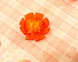 かわいいトマトの切り方🍅作り方4写真