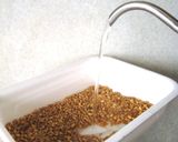 米・麦・水だけで作る甘味「麦芽水飴」作り方2写真