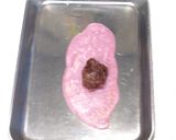 米粉あん巻き　桜もち風作り方7写真