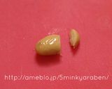 【キャラ弁】かまぼこのワンちゃん弁当作り方4写真