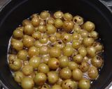 水なし！未熟ぶドウの濃厚ぶどうエキス作り方4写真