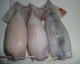 圧力鍋でイカ飯です作り方2写真