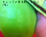 アボカドの皮を包丁なしで剥いちゃおう作り方2写真
