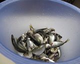 豆鯵の黒酢南蛮　～さっぱり～作り方3写真