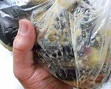【杜氏流】ナスの塩酒粕漬け作り方4写真