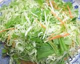 一味違う冷しゃぶサラダＨＹＤＫＭさんち風作り方5写真