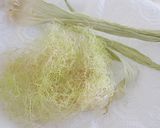 コーンのひげ茶作り方1写真