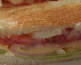 火を使わないオムレツ野菜のホットサンド作り方3写真
