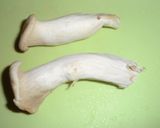 エリンギトマト☆冷製クリームパスタ作り方9写真