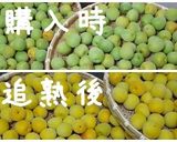 りーさんちの梅干作り方1写真