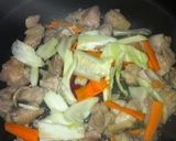 キャベツと鶏肉の生姜醤油炒め♡作り方6写真
