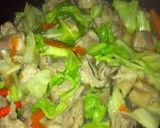 キャベツと鶏肉の生姜醤油炒め♡作り方8写真