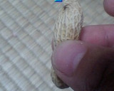 簡単ずぼら凄ワザ！ピーナッツの殻むき方法作り方1写真