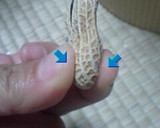 簡単ずぼら凄ワザ！ピーナッツの殻むき方法作り方5写真