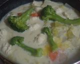 鶏豆腐団子の豆乳シチュー♪作り方8写真