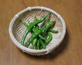 【農家のレシピ】青唐辛子の醤油漬け作り方1写真