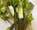 山菜 コシアブラ の塩昆布と梅和え作り方1写真