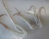 夏にぴったり!!イカ酢醤油作り方4写真