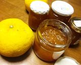 私のお気に入り！甘夏マーマレード(写真付作り方23写真