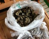 きくらげの常備菜作り方12写真