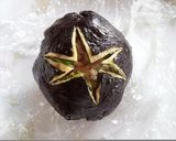 梅干しのっけて☆星のおにぎり様作り方4写真