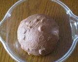 チョコナッツカンパーニュ（自家製酵母）作り方4写真