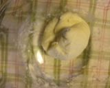 HB用食パンミックスで手ごね食パン！作り方3写真