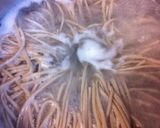 野菜天おろしそば作り方1写真