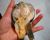 アサリのガーリックパン粉焼き作り方1写真