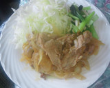 しょうゆ麹（漬け込み用）と料理作り方10写真