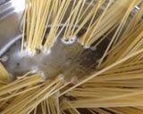白いかとたらこの冷製パスタ作り方2写真