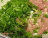 いつものハンバーグ変身！ネギたっぷりめ♪作り方2写真