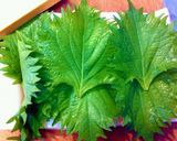 楽しくアレンジ～ぐるぐる大葉かまぼこ～作り方4写真