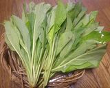 沖縄野菜☆ニガナの白和え風サラダ作り方5写真