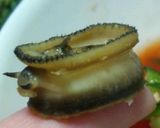ボベ飯作り方5写真