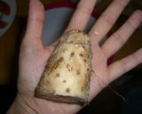 カロリー少なめmockチーズオムレツ作り方1写真