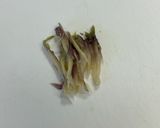 種蔵茗荷✖️キムチ✖️豚バラのスタミナ炒め作り方1写真